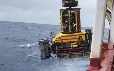 External Subsea Inspection of Flexible Risers