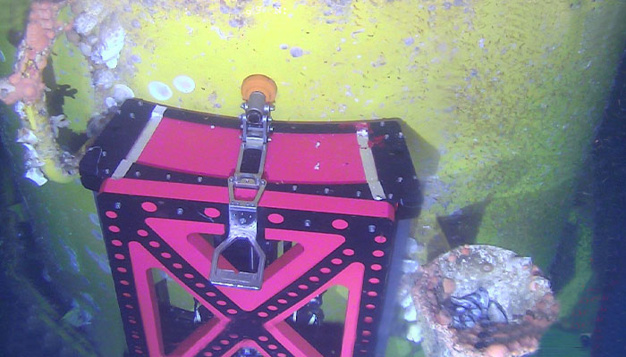 Offshore Grout inspection