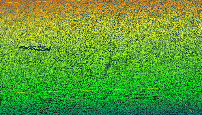 ILI Laser Scanner