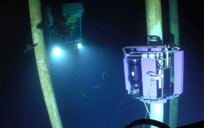 Major Contract Awarded: Subsea Inspection of Insulated Flexible Pipes.
