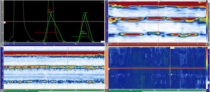 Subsea Phased Array Sample Data