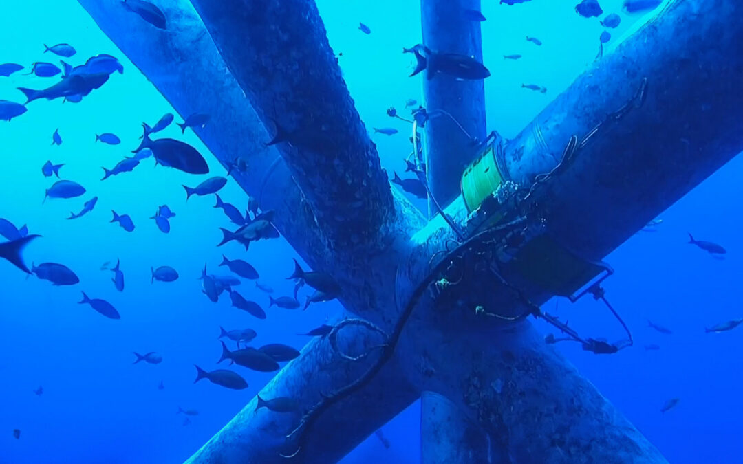 NodeScanner™: 10 Years of Protecting Offshore Structures