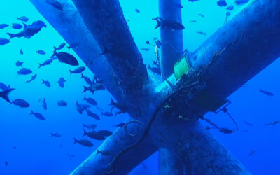 NodeScanner™: 10 Years of Protecting Offshore Structures